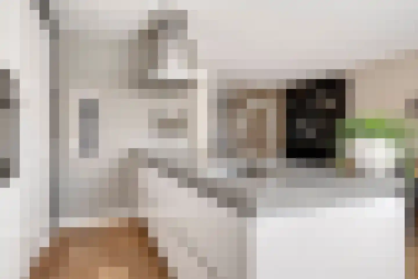 Lover 142 Borne thumbnail 19