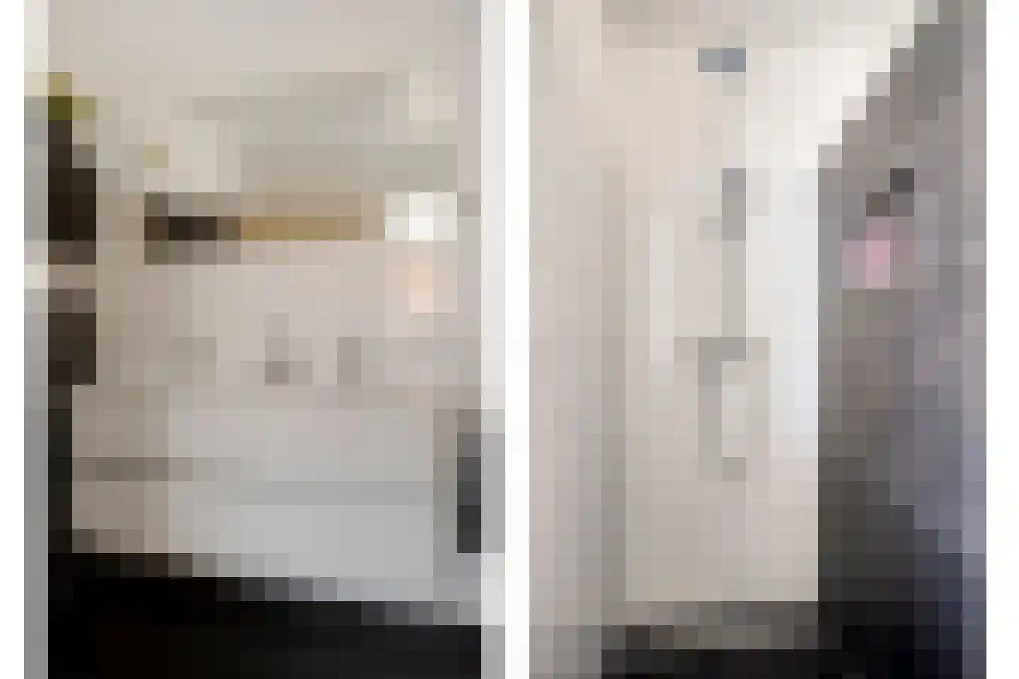 Lover 142 Borne thumbnail 28