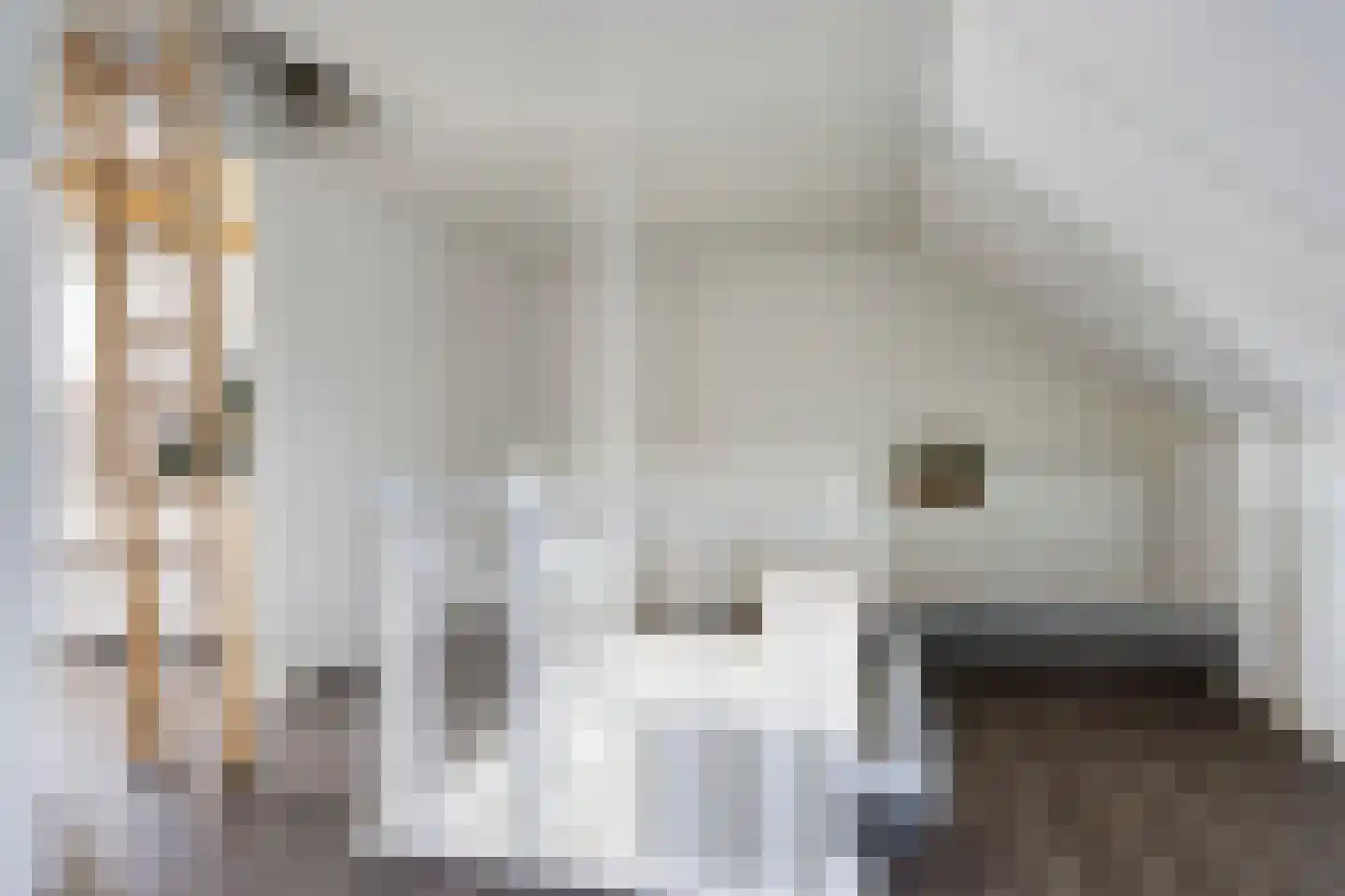 Lover 142 Borne thumbnail 34