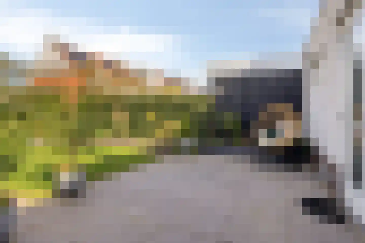 Lover 142 Borne thumbnail 7