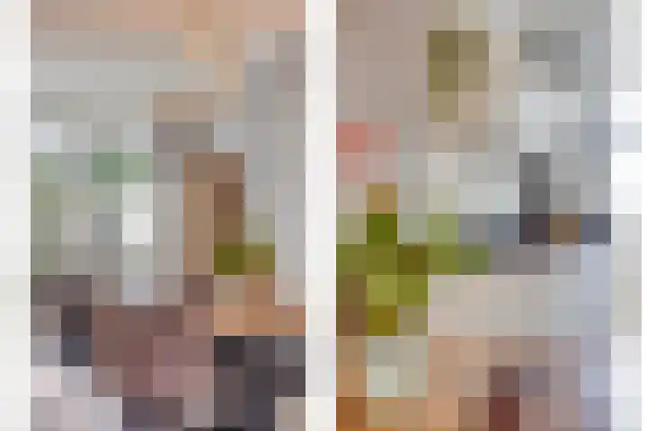 Lover 145 Borne thumbnail 10