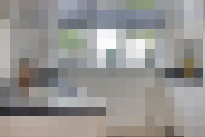 Lover 145 Borne thumbnail 12
