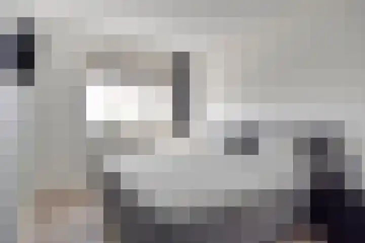 Lover 145 Borne thumbnail 14