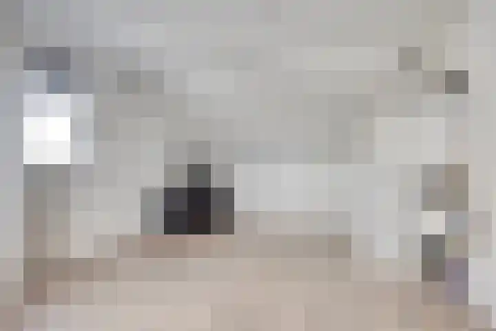 Lover 145 Borne thumbnail 22