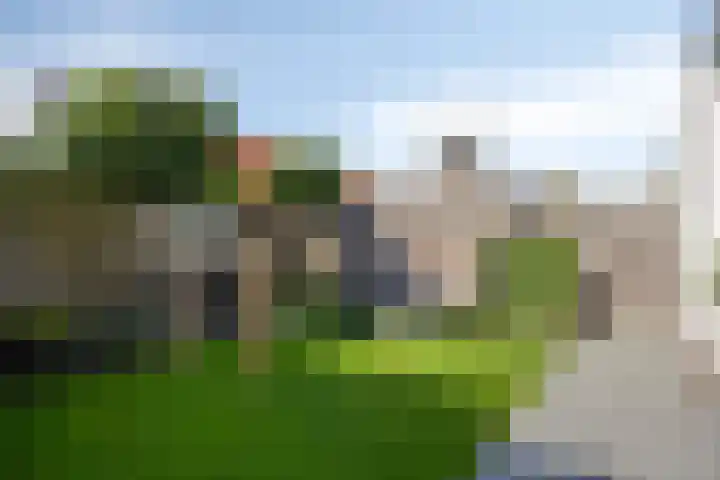 Lover 145 Borne thumbnail 24
