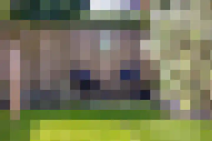 Lover 145 Borne thumbnail 25