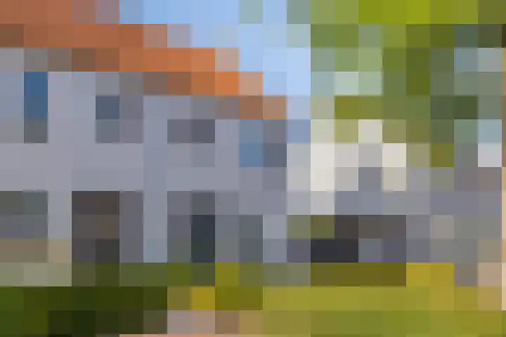 Lover 145 Borne thumbnail 26