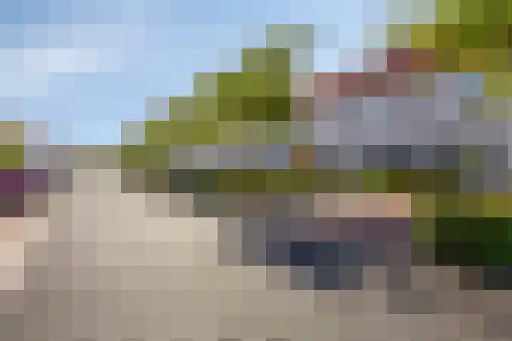 Lover 145 Borne thumbnail 27