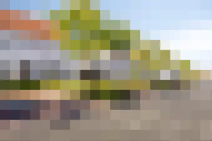 Lover 145 Borne thumbnail 28