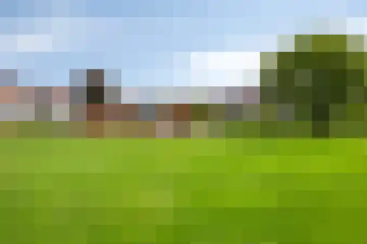 Lover 145 Borne thumbnail 29