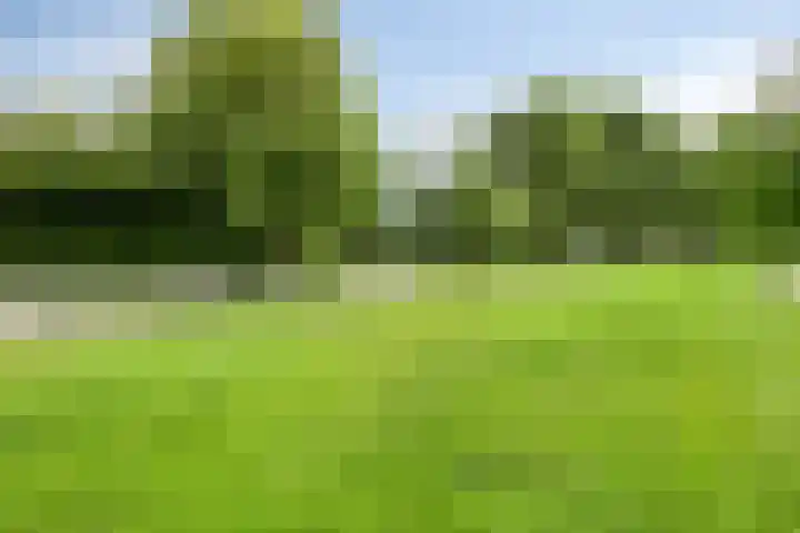 Lover 145 Borne thumbnail 30