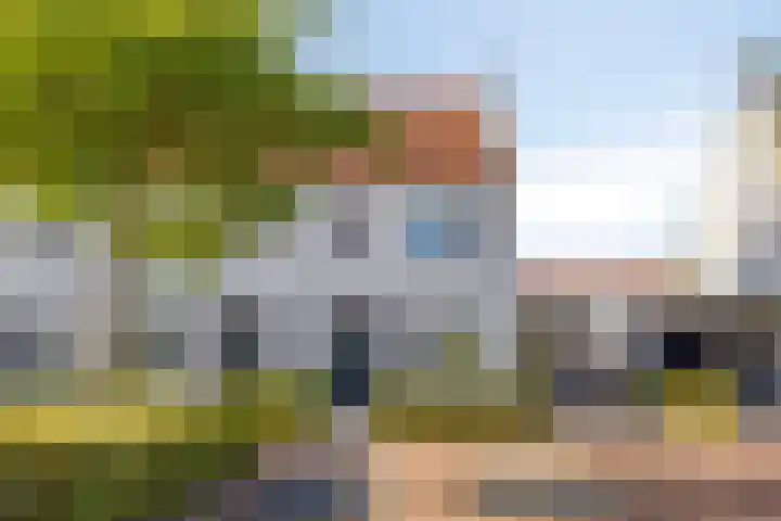 Lover 145 Borne thumbnail 5