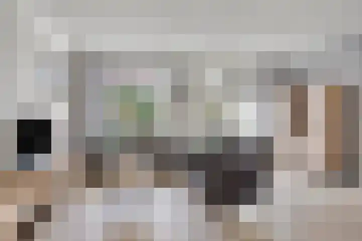 Lover 145 Borne thumbnail 6