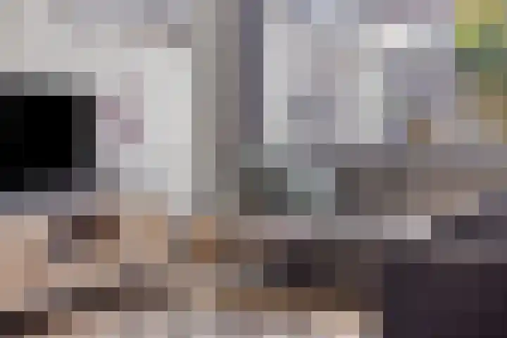 Lover 145 Borne thumbnail 7