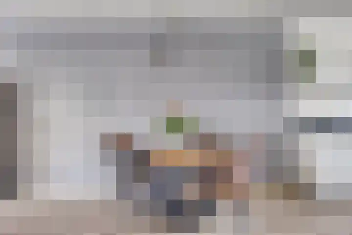 Lover 145 Borne thumbnail 9