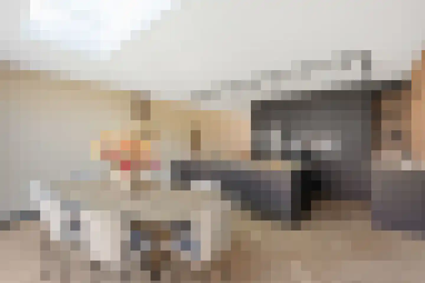 Lover 184 Borne thumbnail 10