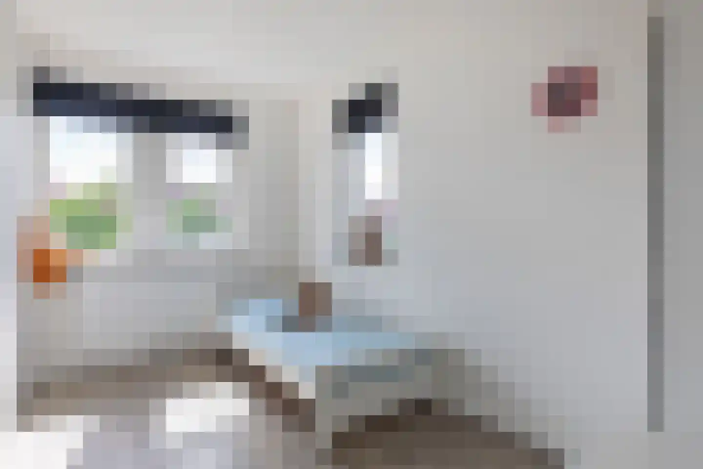 Lover 184 Borne thumbnail 17