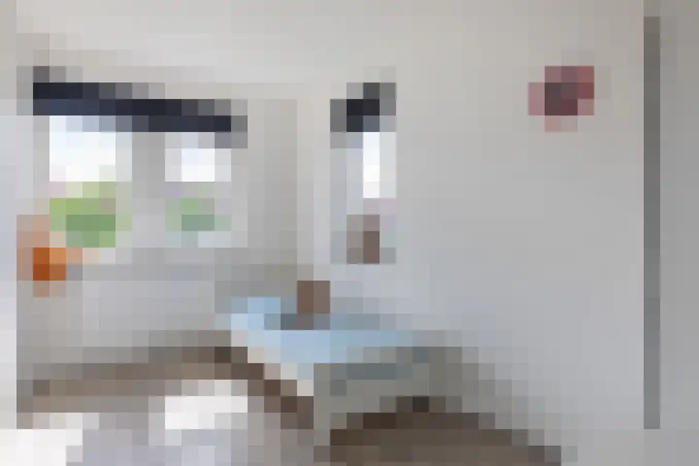 Lover 184 Borne thumbnail 17