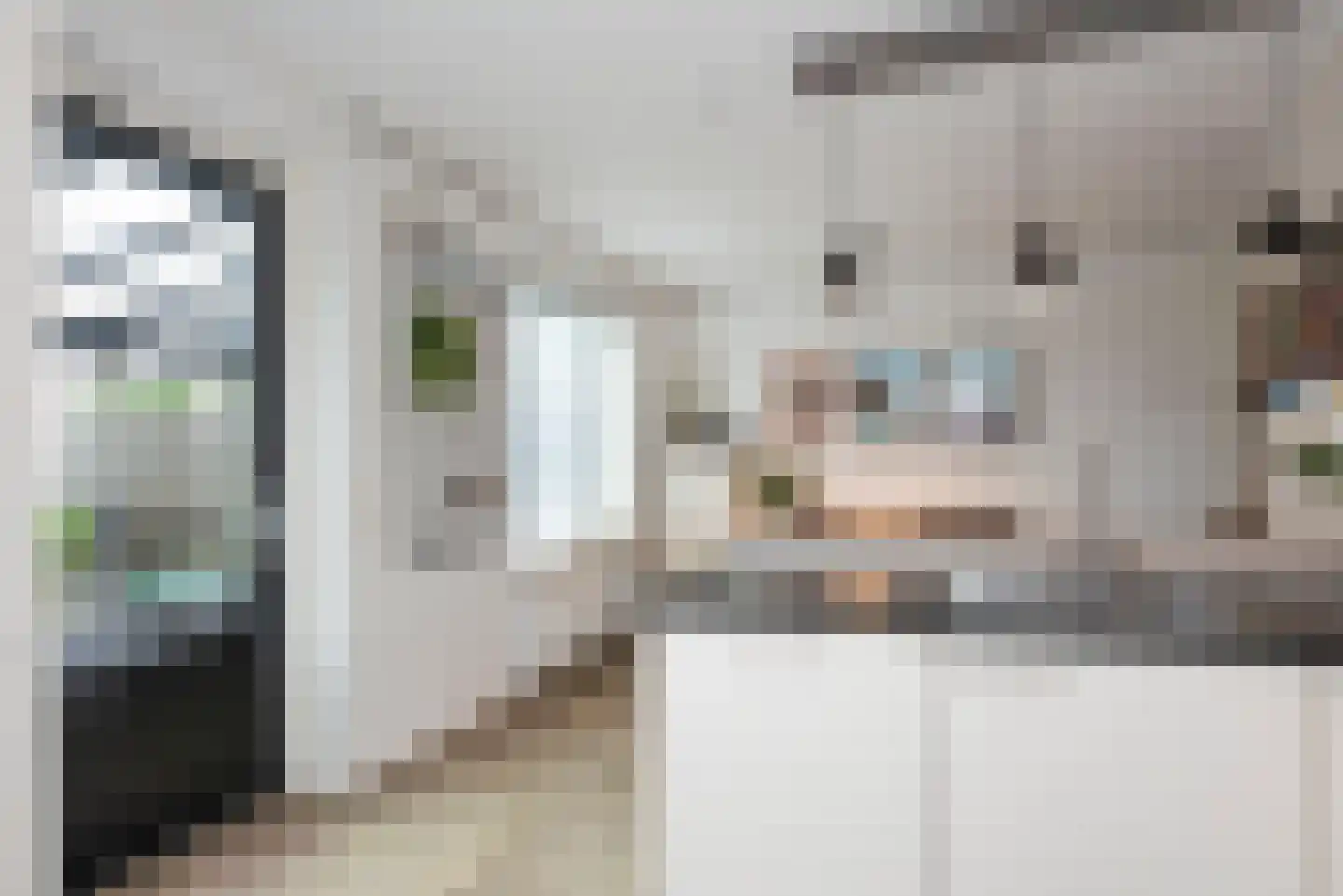 Lover 47 Borne thumbnail 13