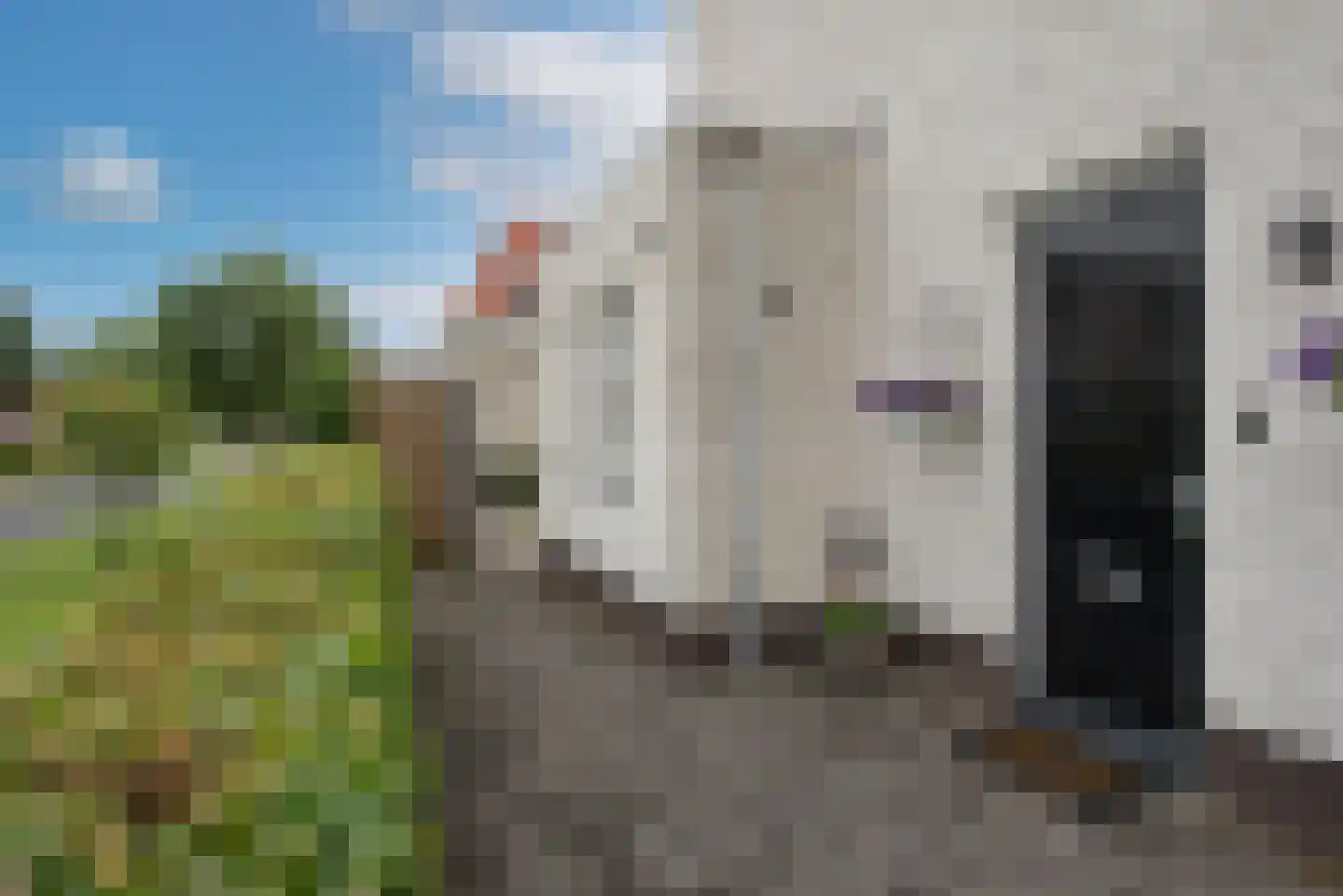 Lover 47 Borne thumbnail 6