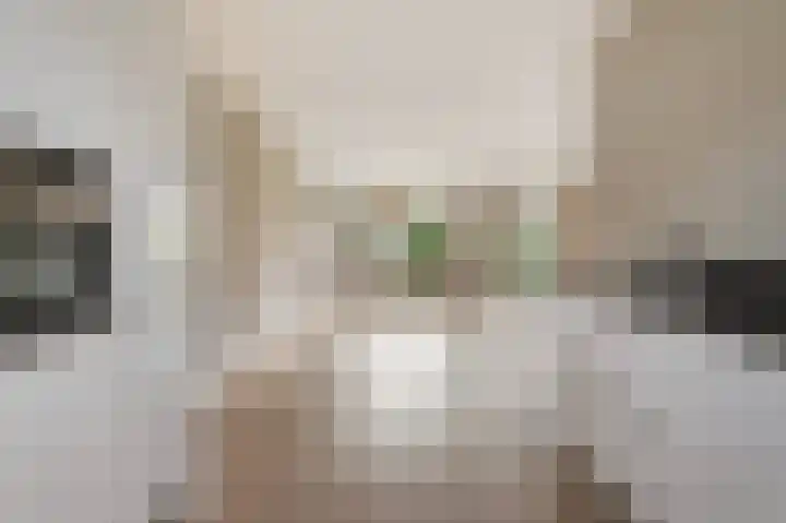 Lover 94 Borne thumbnail 16