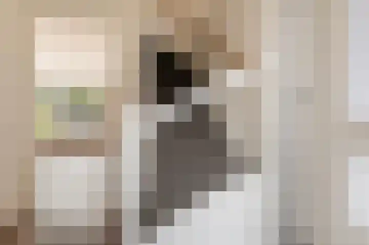 Lover 94 Borne thumbnail 17