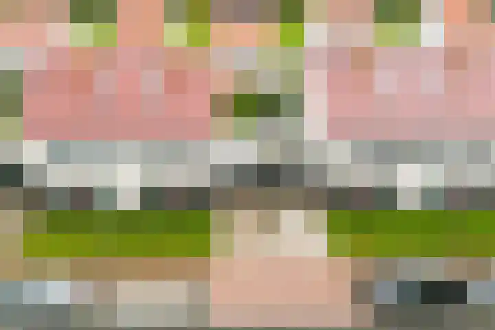 Lover 94 Borne thumbnail 4