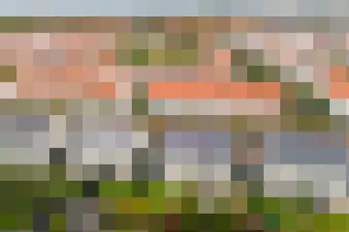 Lover 94 Borne thumbnail 44