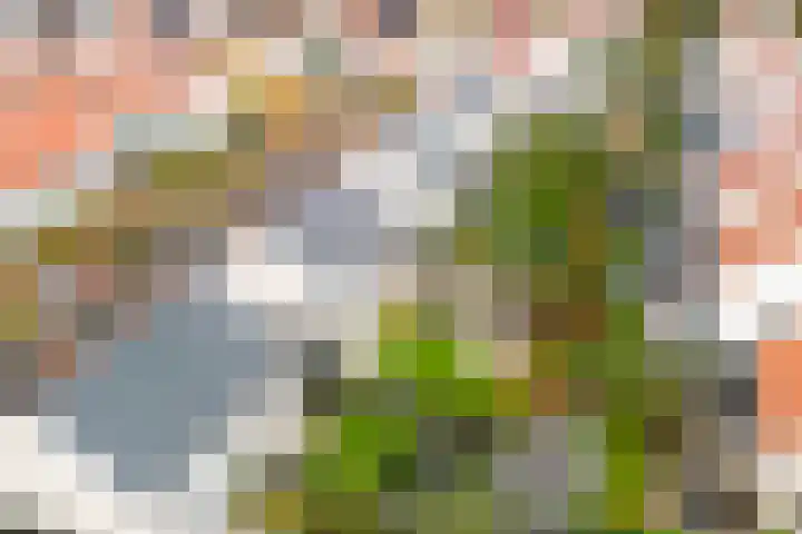 Lover 94 Borne thumbnail 45