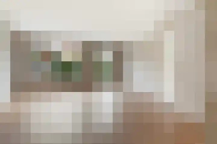 Lover 94 Borne thumbnail 8