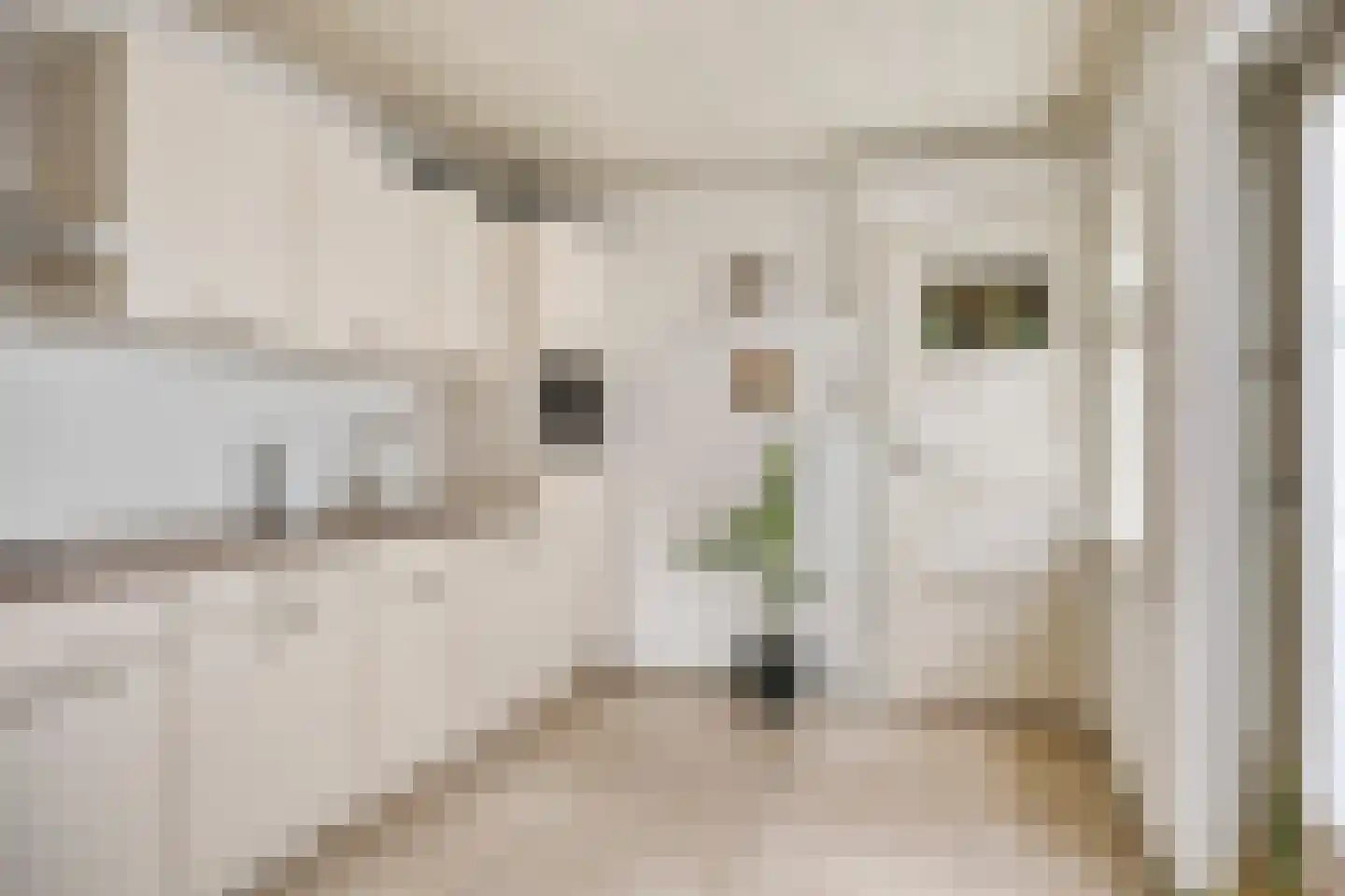 Loveren 12 Baarle-Nassau thumbnail 10