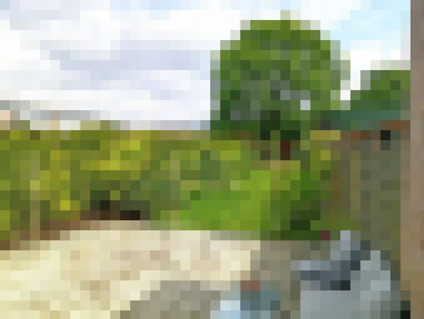 Loveren 12 Baarle-Nassau thumbnail 23