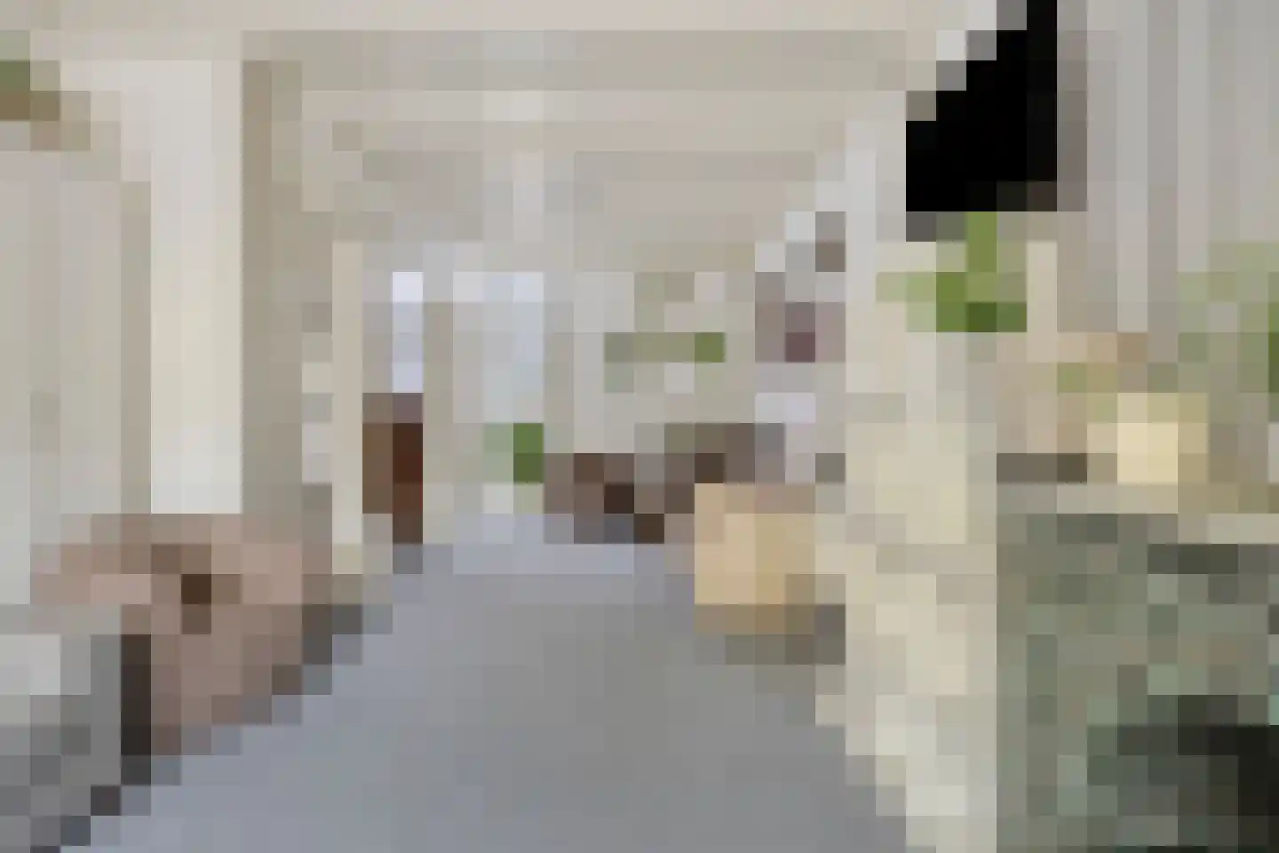 Loveren 12 Baarle-Nassau thumbnail 8