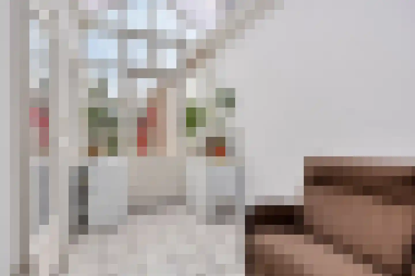 Loveren 12 Baarle-Nassau thumbnail 9