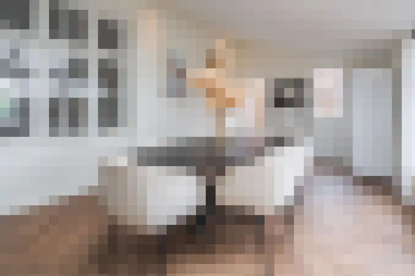 Loveren 3 Baarle-Nassau thumbnail 26