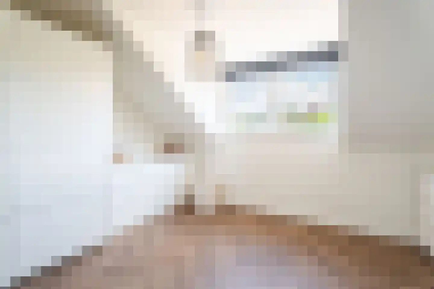 Loveren 3 Baarle-Nassau thumbnail 31