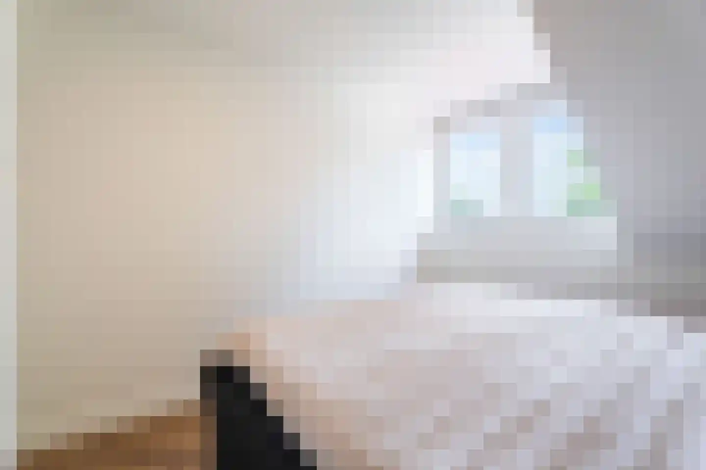 Loveren 3 Baarle-Nassau thumbnail 34