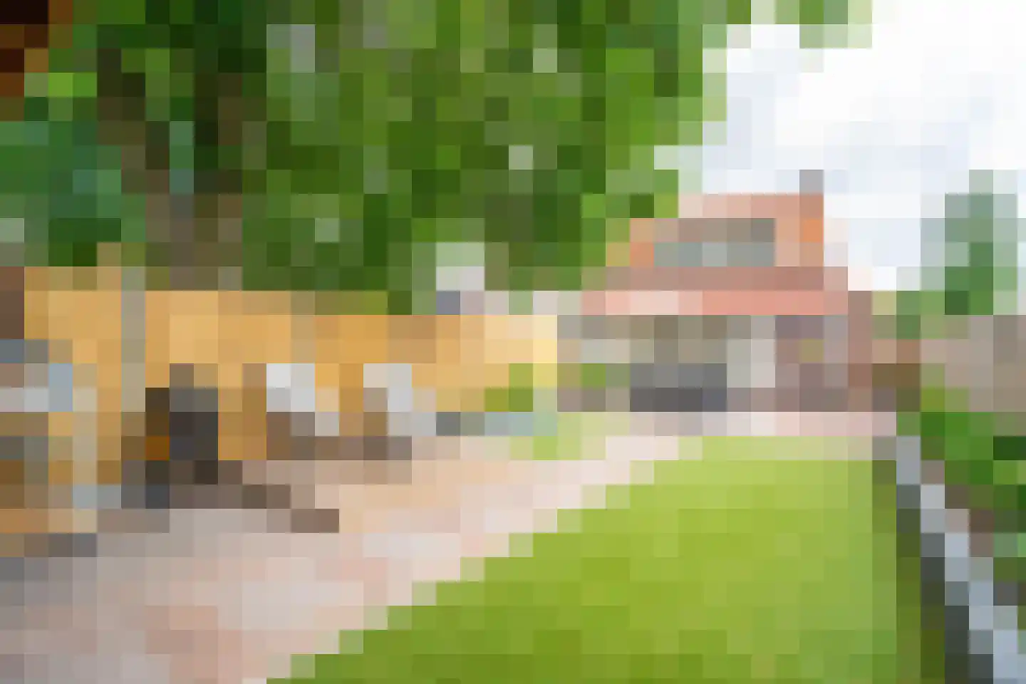 Loveren 3 Baarle-Nassau thumbnail 41