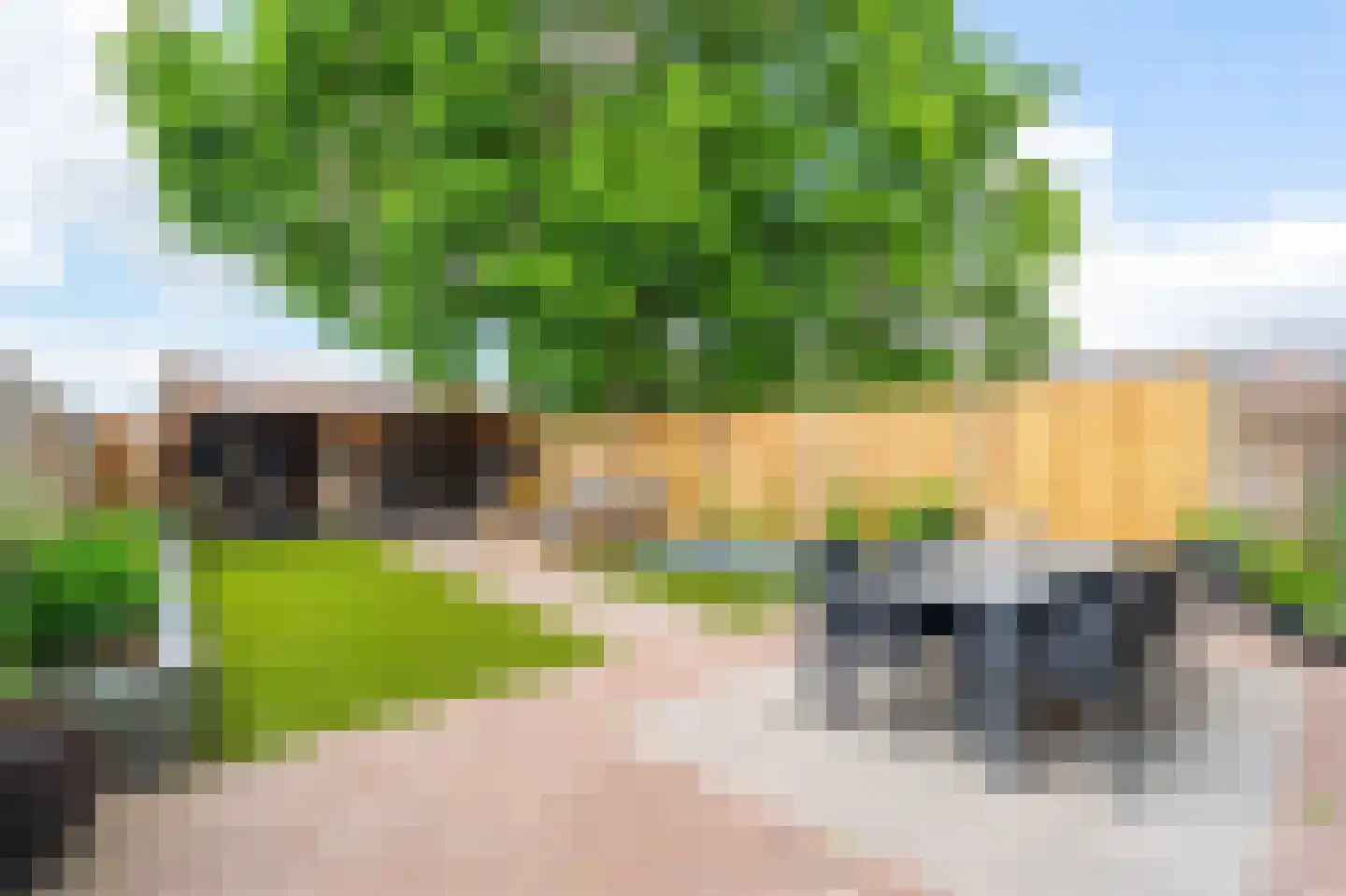 Loveren 3 Baarle-Nassau thumbnail 42
