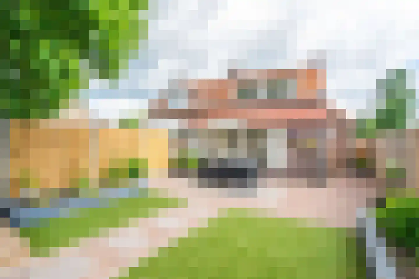 Loveren 3 Baarle-Nassau thumbnail 45