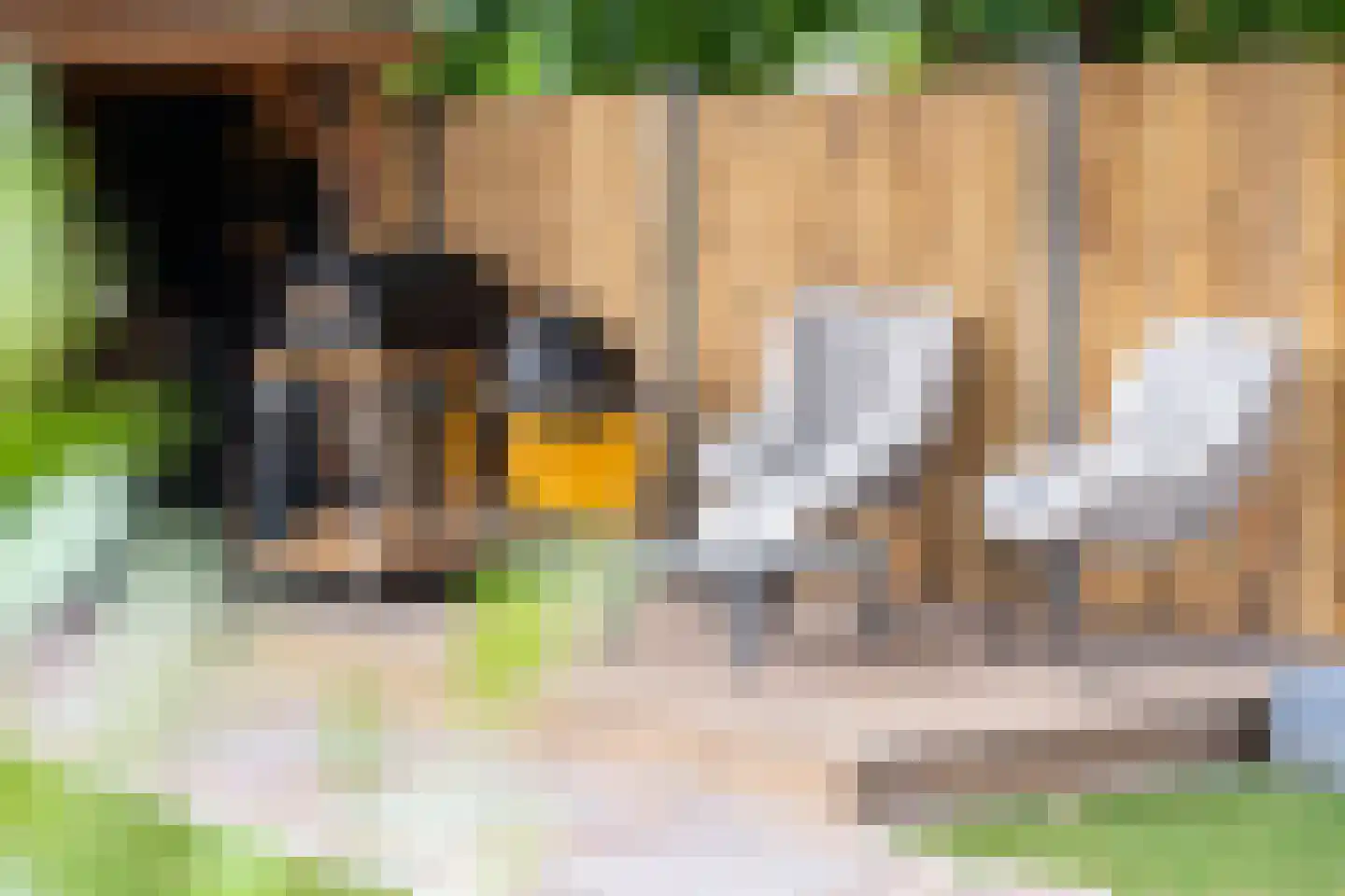 Loveren 3 Baarle-Nassau thumbnail 46