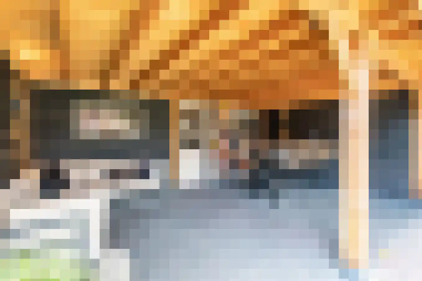 Loveren 3 Baarle-Nassau thumbnail 49