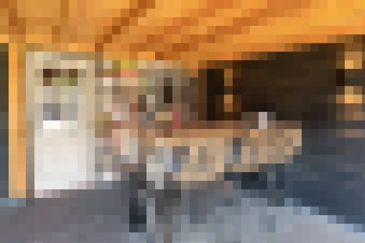 Loveren 3 Baarle-Nassau thumbnail 51