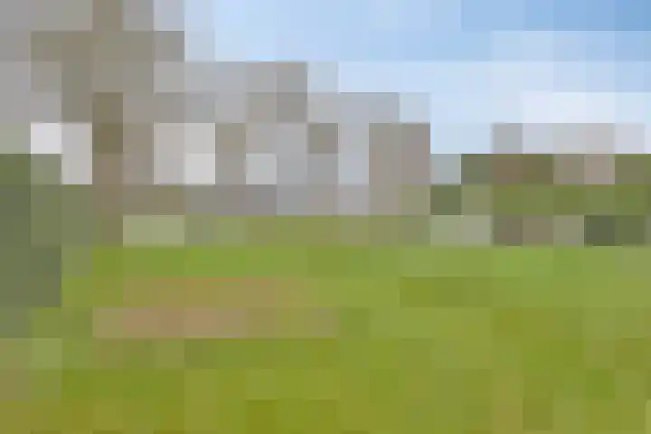 Loveren 4 a Westerhoven thumbnail 33