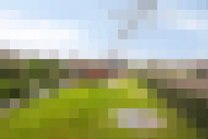 Loveren 4 a Westerhoven thumbnail 39