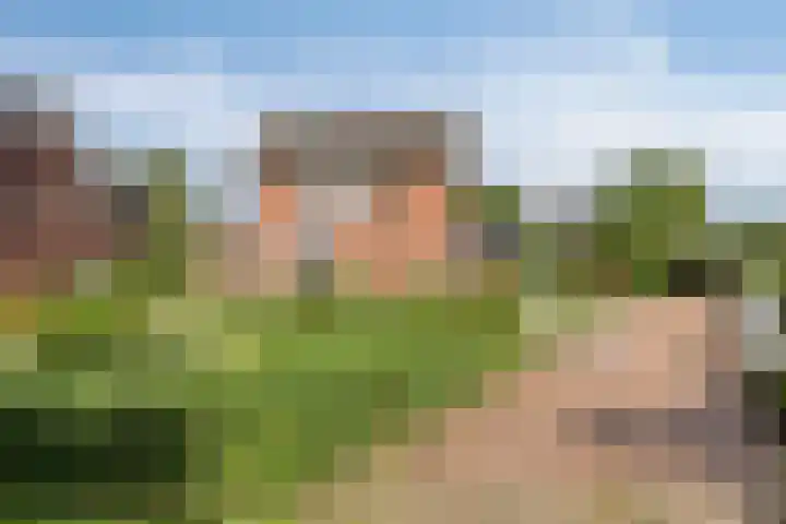 Loveren 6 Westerhoven thumbnail 12