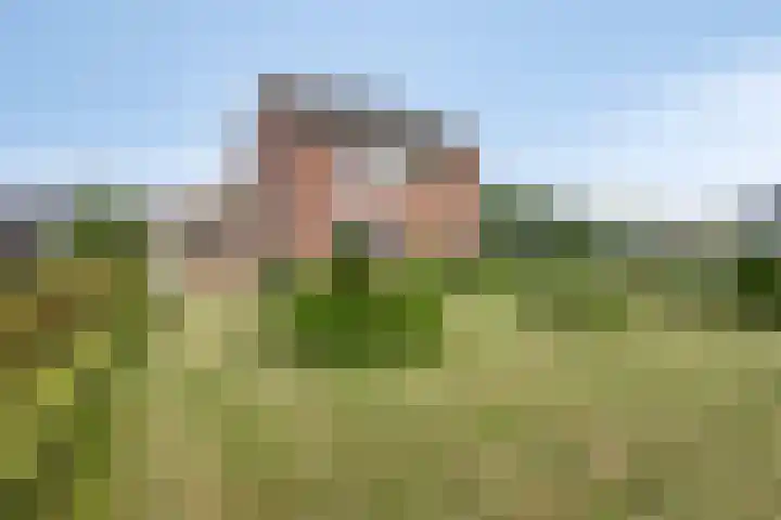Loveren 6 Westerhoven thumbnail 14
