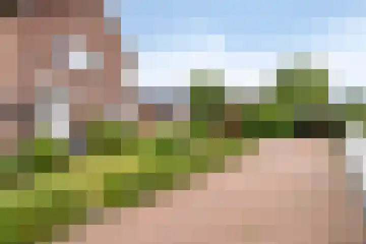Loveren 6 Westerhoven thumbnail 15