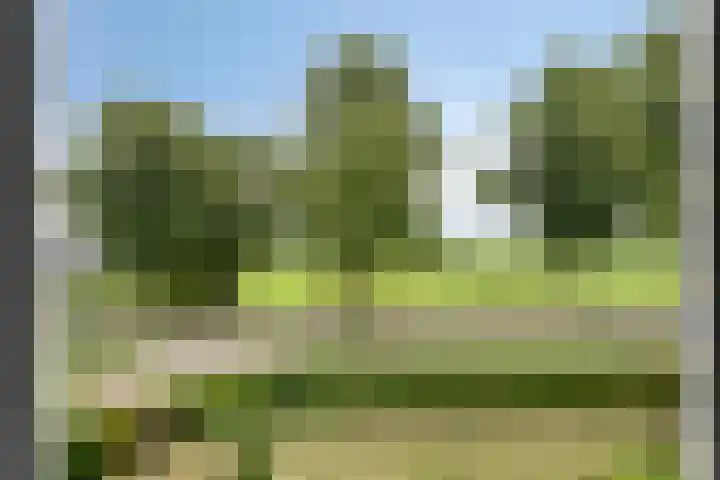 Loveren 6 Westerhoven thumbnail 31
