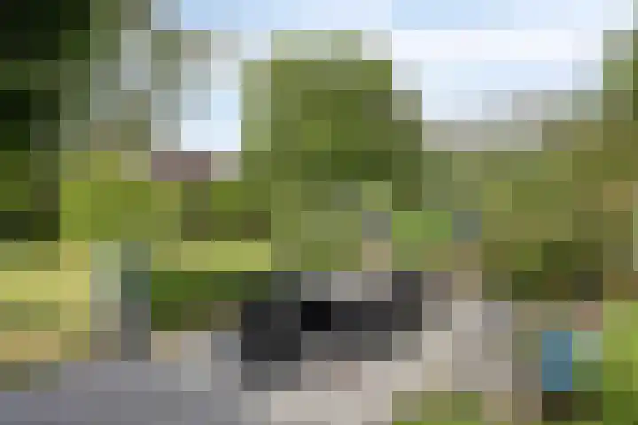 Loveren 6 Westerhoven thumbnail 41